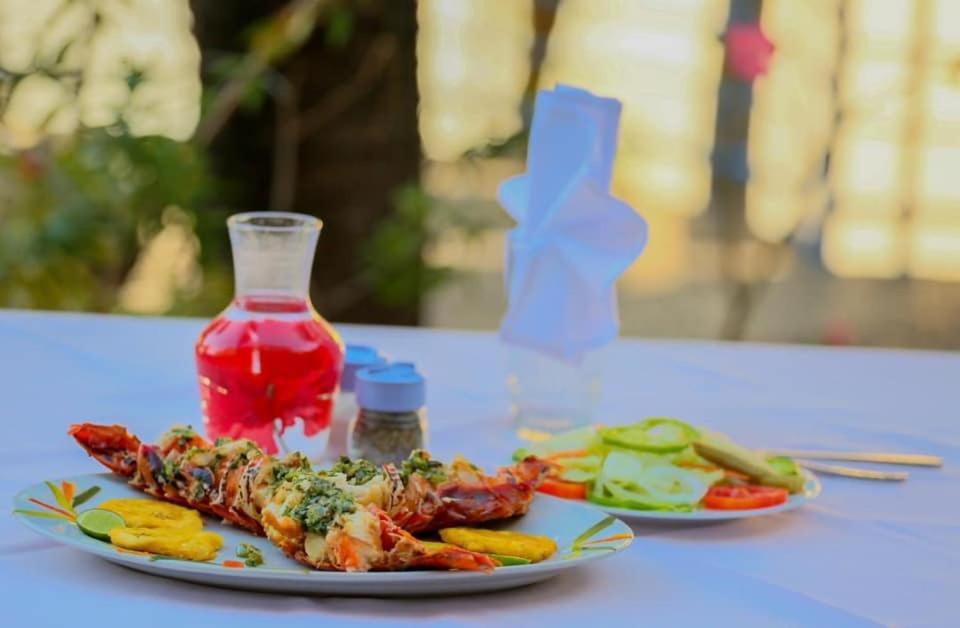 Cap Lamandou Hotel جاكميل المظهر الخارجي الصورة